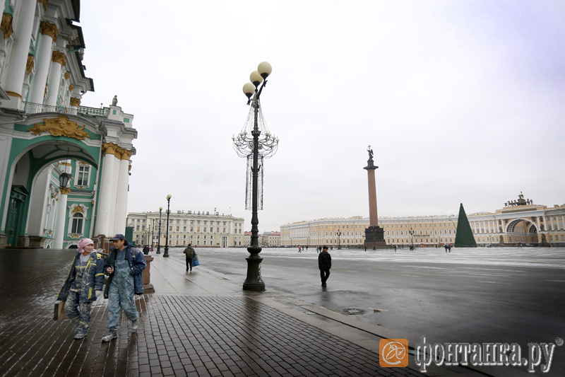 Главная ель Петербурга на Дворцовой площади - 13,5 миллиона